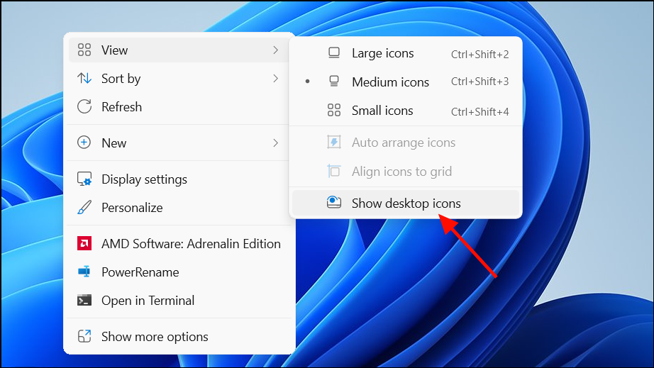 How To Hide Recycle Bin In Windows 11   Image 205 1 