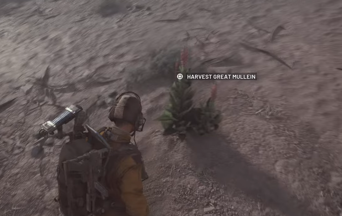 ARC Raiders Great Mullein — best locations, uses, recipes, yields