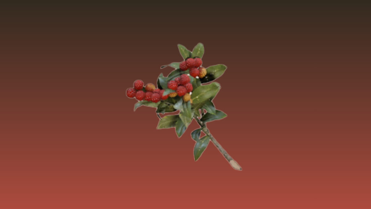 Arc Raiders Candleberries locations and event uses