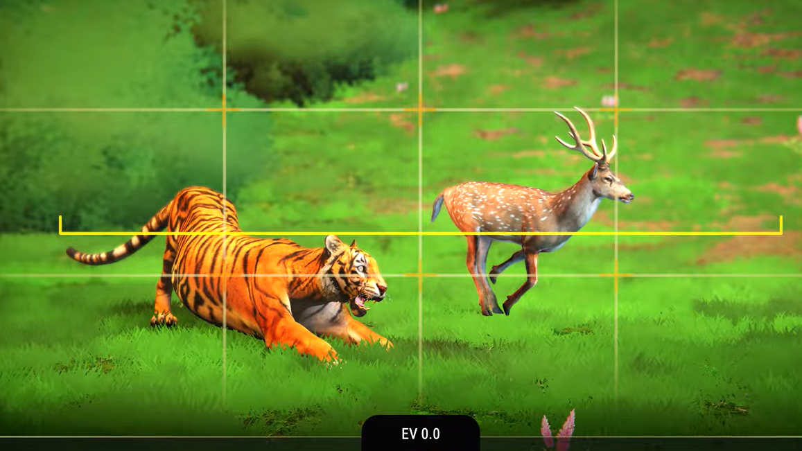 The Great Indian Safari makes wildlife photography the core of park management