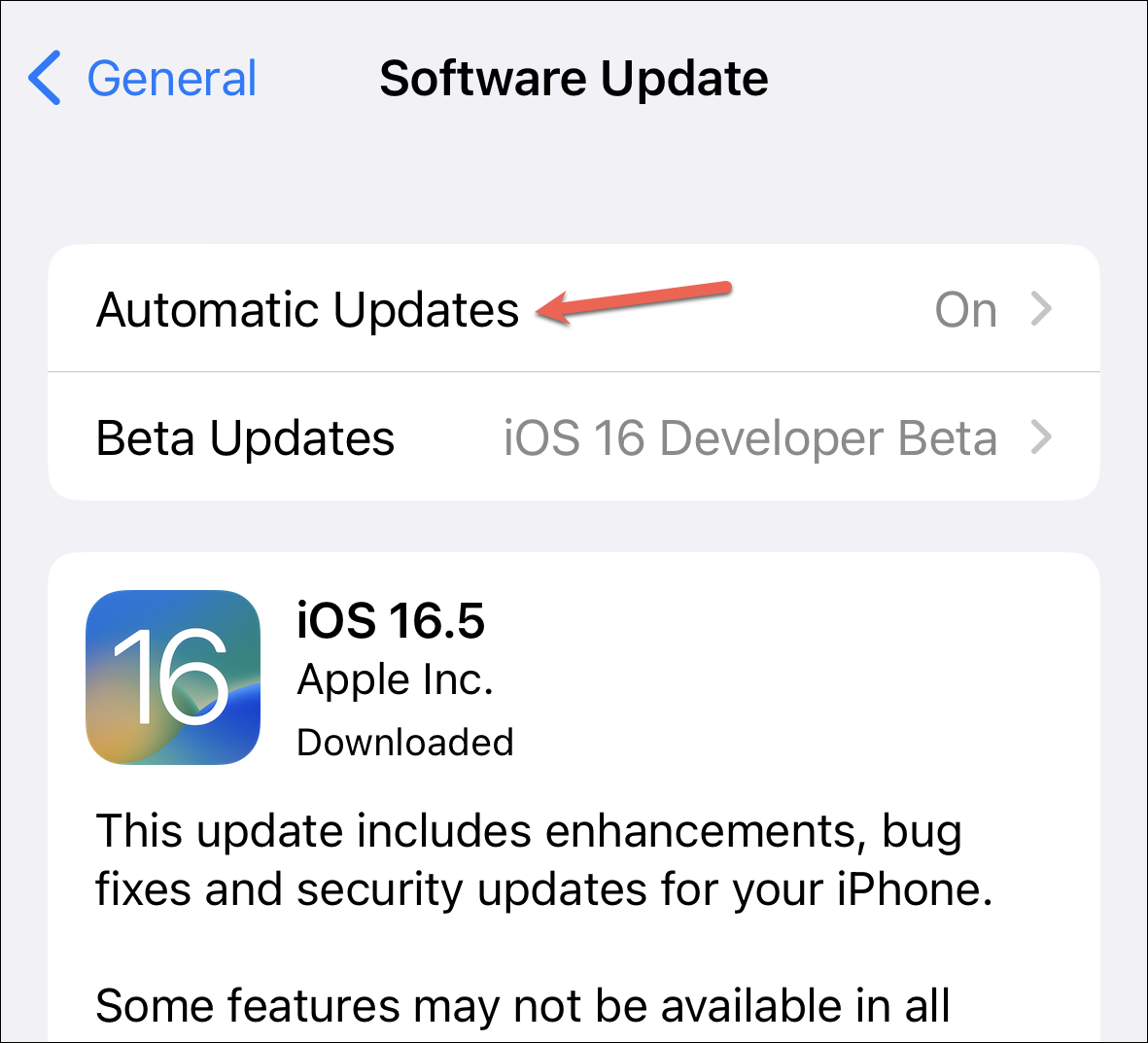 What is iOS and MacOS Rapid Security Response?