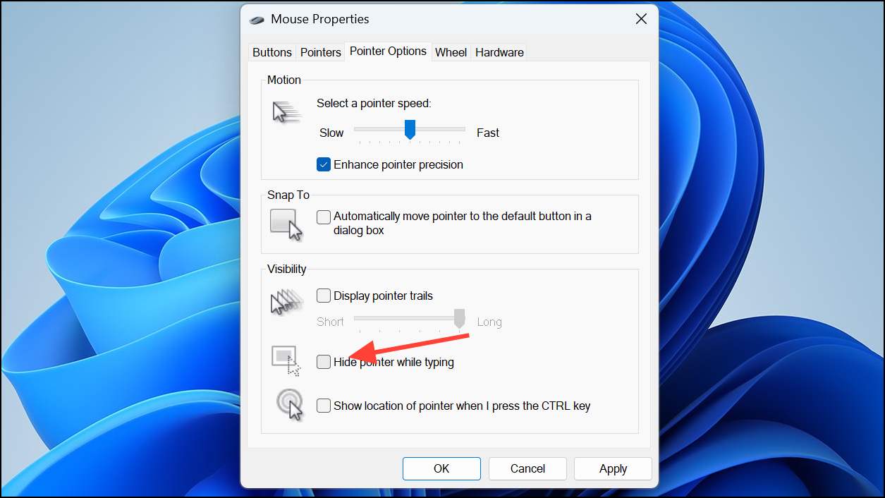 How to Fix Mouse Cursor Disappeared on Windows 11