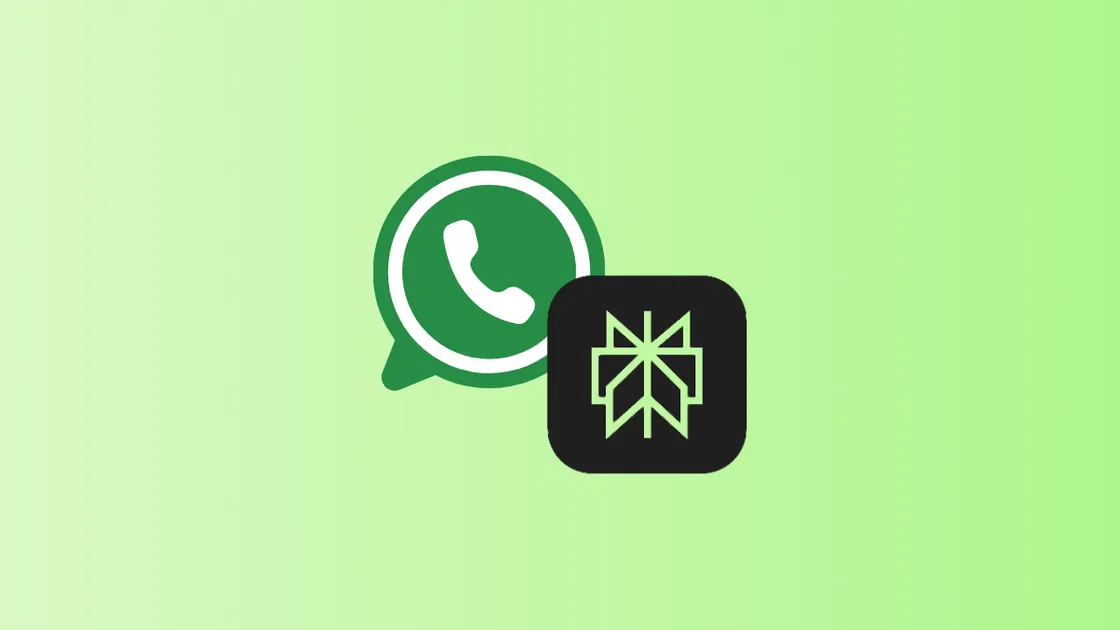 Use Perplexity AI in WhatsApp