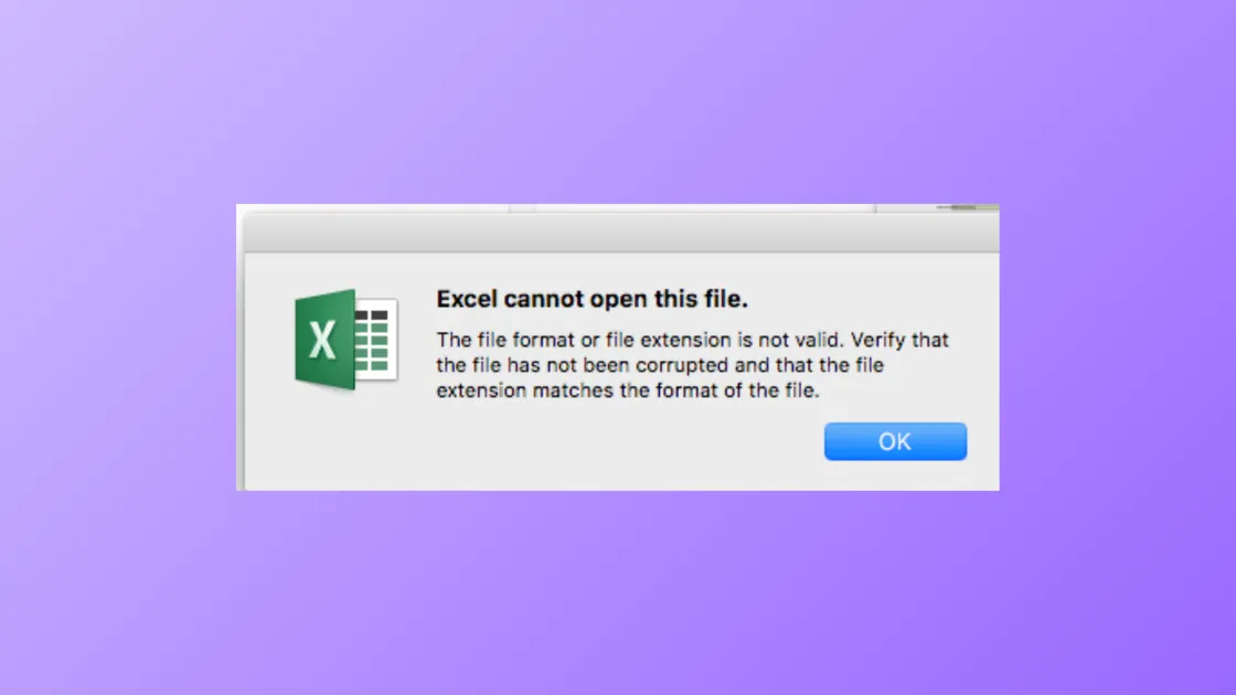 How to Fix Excel Cannot Open the File Because the File Format or Extension Is Not Valid Error