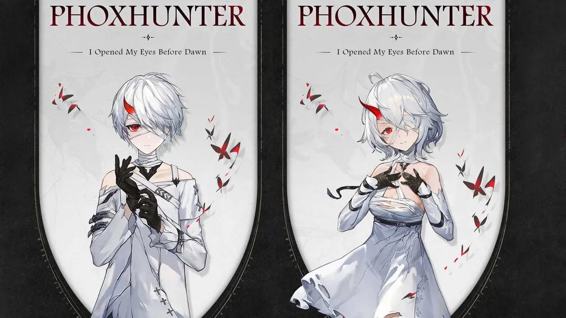 Duet Night Abyss second protagonist — when you choose and what it changes