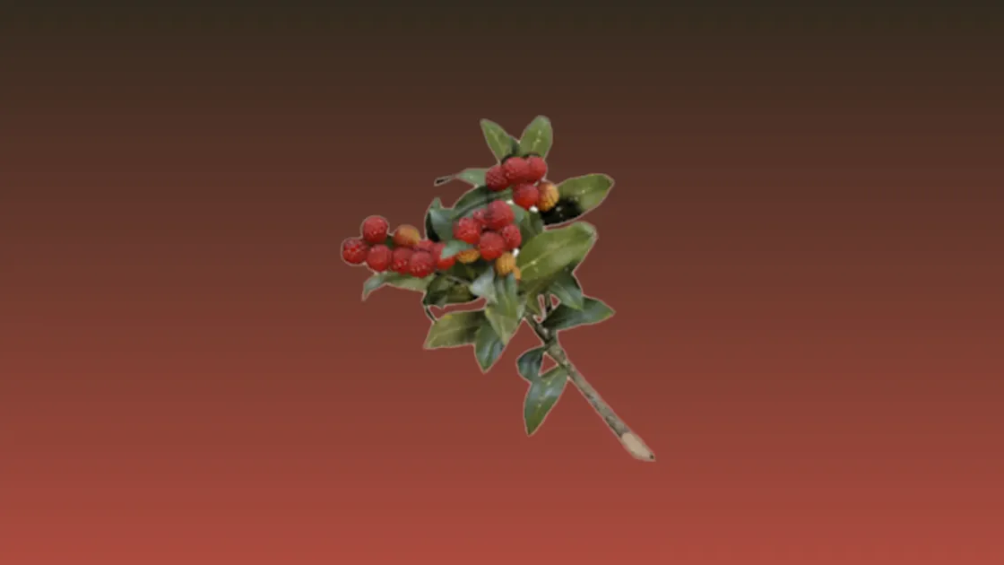 Arc Raiders Candleberries locations and event uses