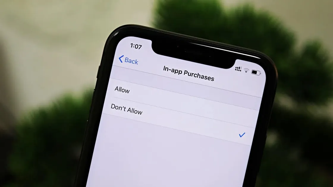 How to Prevent In-App Purchases from the App Store on iPhone