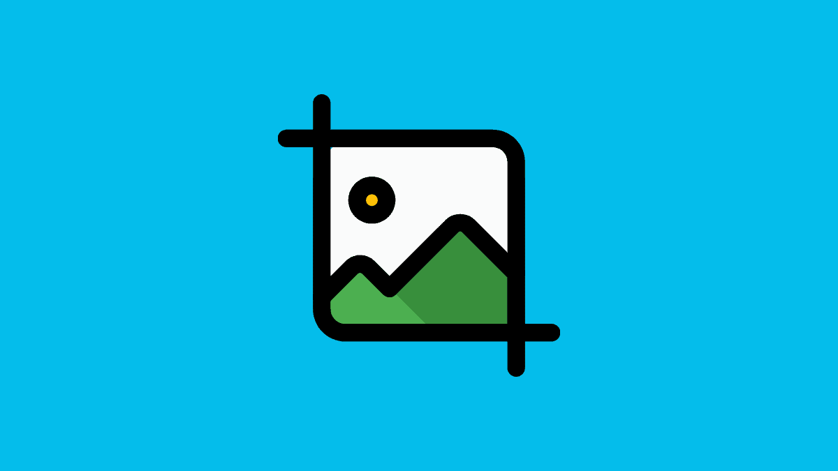 How to Crop a Photo in Canva