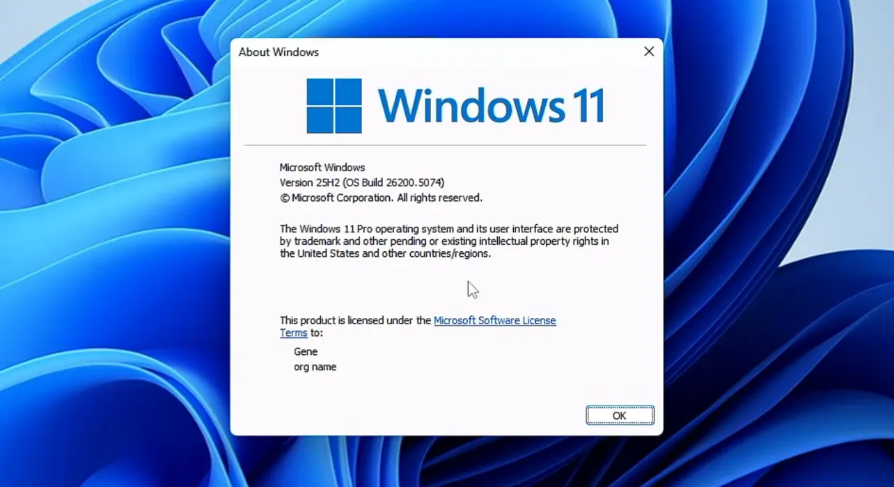 Windows 11 25H2 tiny11 on x64 and arm64 — what’s new, how to get it