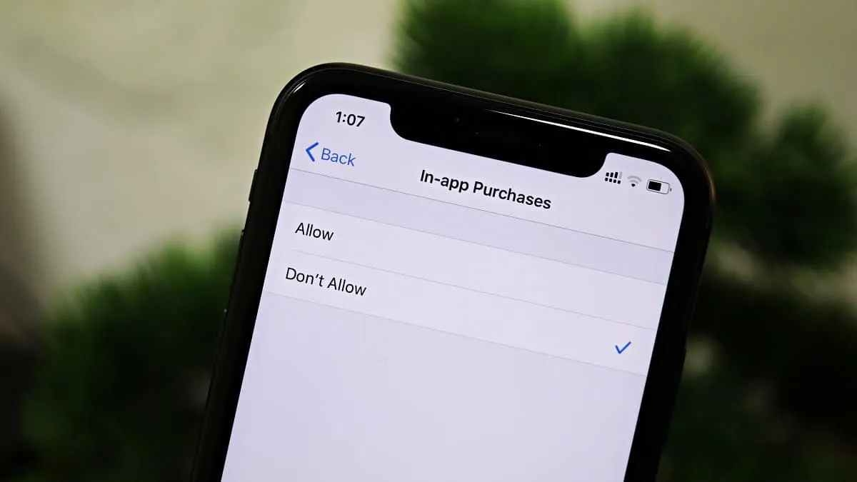 How to Prevent In-App Purchases from the App Store on iPhone
