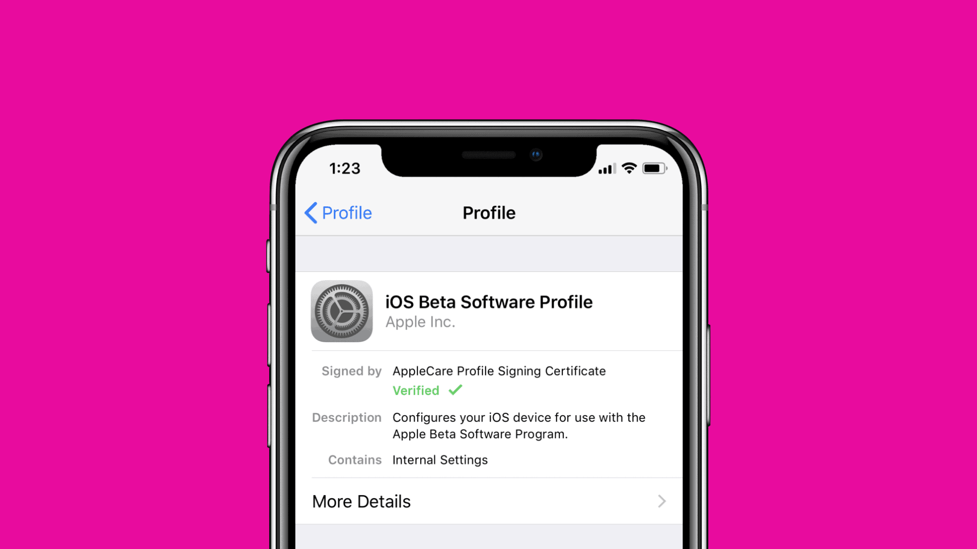 How to download iOS Beta Profile
