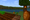 How to Plant and Farm Cocoa Beans in Minecraft