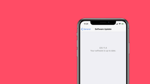 How to update iPhone X to iOS 11.4 using IPSW firmware file and iTunes