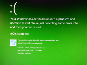 FIX: Green screen with bindflt.sys error on Windows 10 Insider Build 18309