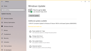 📥 Download KB4505903 Windows 10 1903 update (build 18362.267)