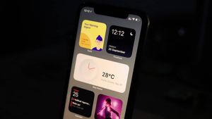 Can you Hide Widget Label / Name in iOS 14 on iPhone?