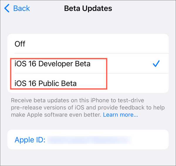 How to Enable Beta Updates on iPhone and iPad