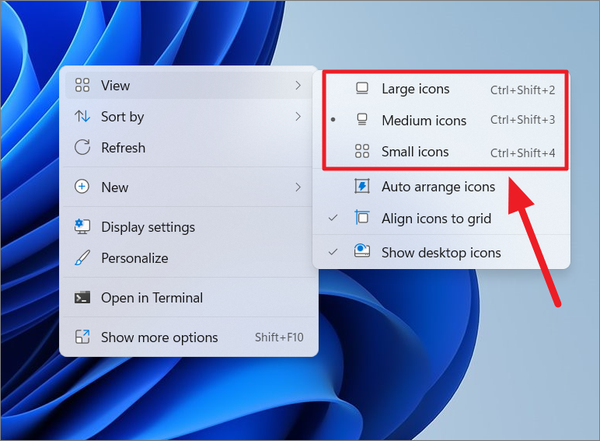 How to Change Icon Size in Windows 11