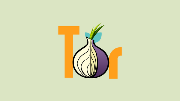 How to Use Tor Browser on Windows 11