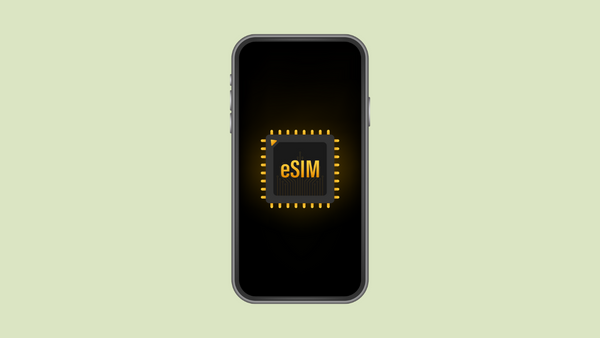 How to Transfer a Physical SIM or eSIM from iPhone to iPhone