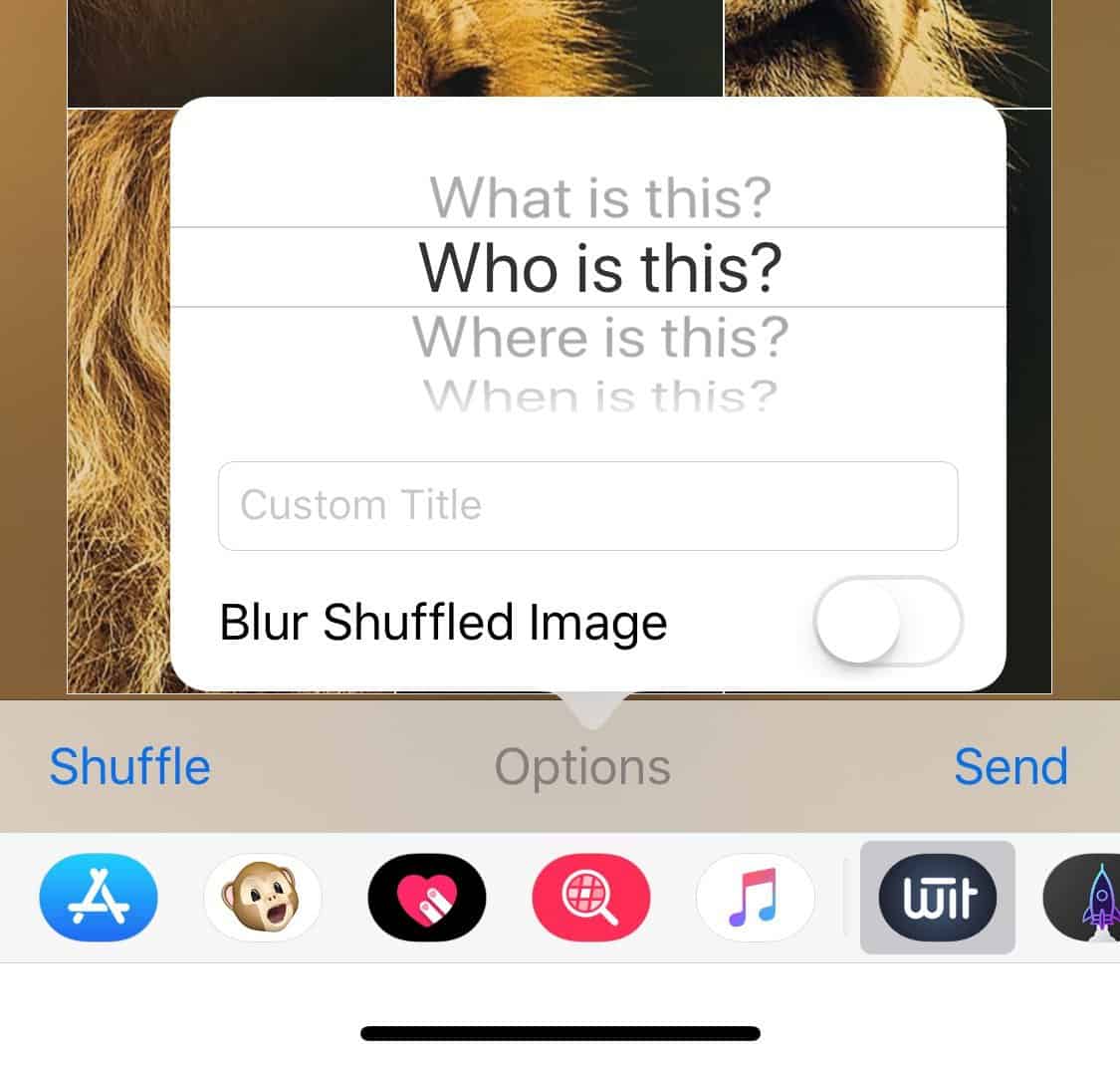 How to Send Picture Puzzles in iMessage on iPhone