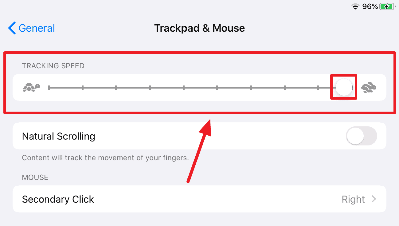 How to customize the mouse cursor on iPad: tracking speed