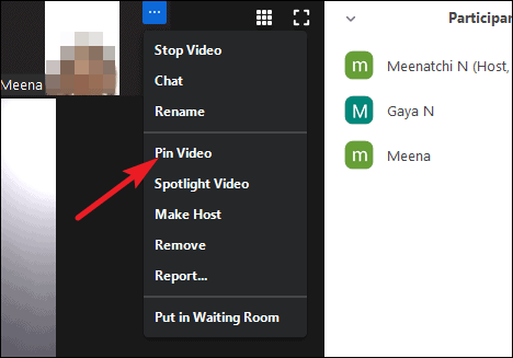 Pinning participants' videos