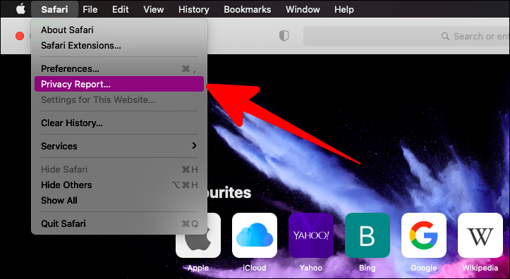 safari privacy report mac