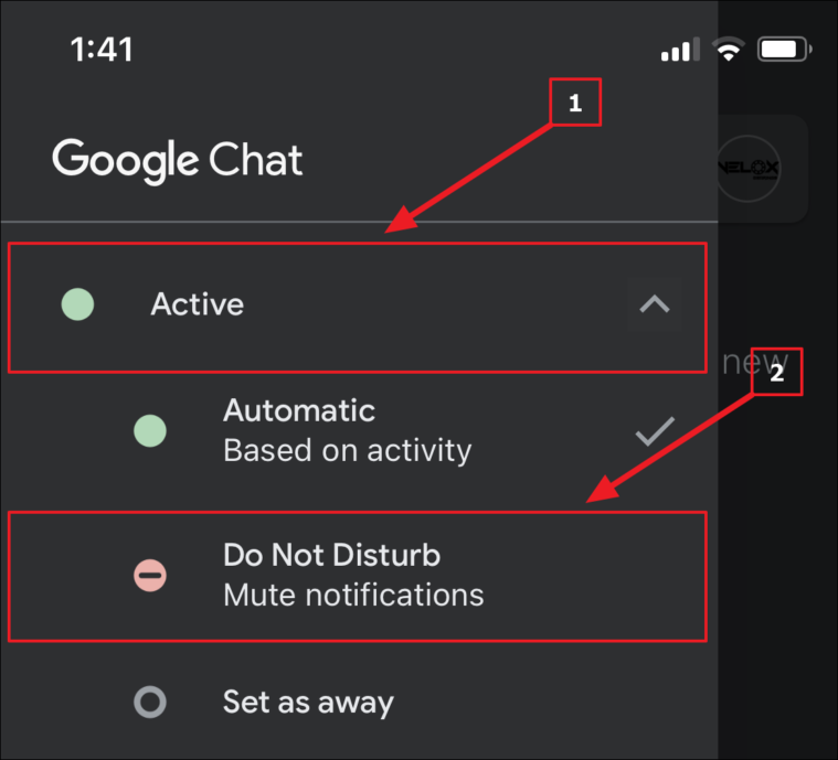 Google Chat in iOS