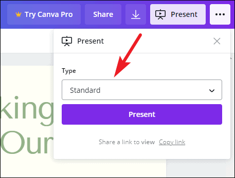 presentation size in canva