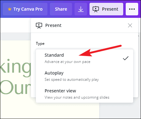 presentation size in canva