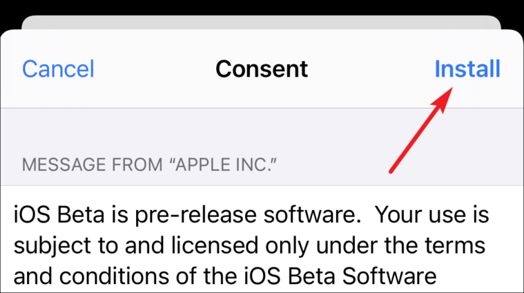 consent to download and install ios 15 beta 