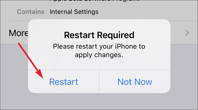 restart to install ios 15 beta profile