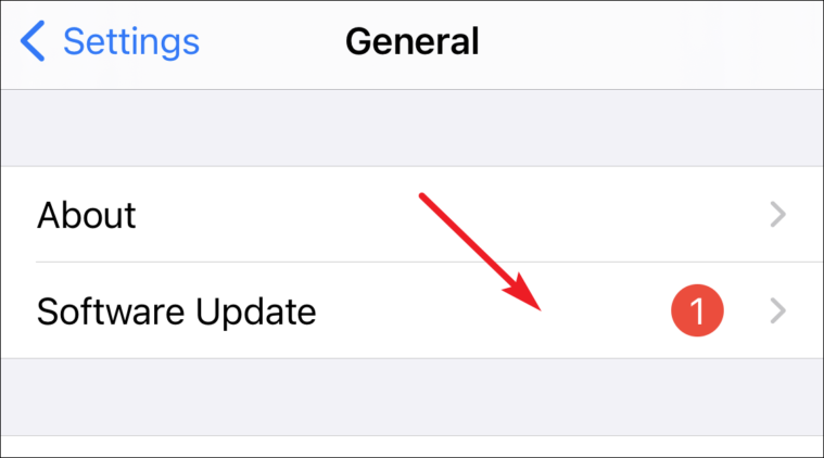 tap on software update to locate iOS 15 beta 