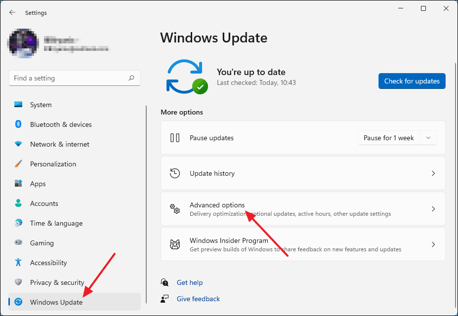 How To Download And Install Optional Updates In Windows 11 2466