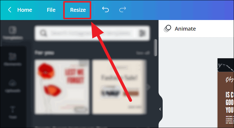 canva presentation dimensions