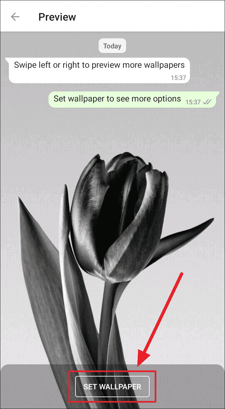 Whatsapp No Default Wallpaper