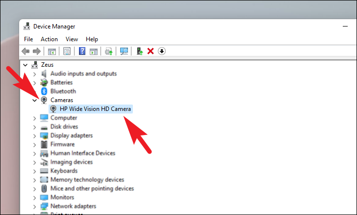 frustrerende Kviksølv symptom How to Update Camera Driver on Windows 11