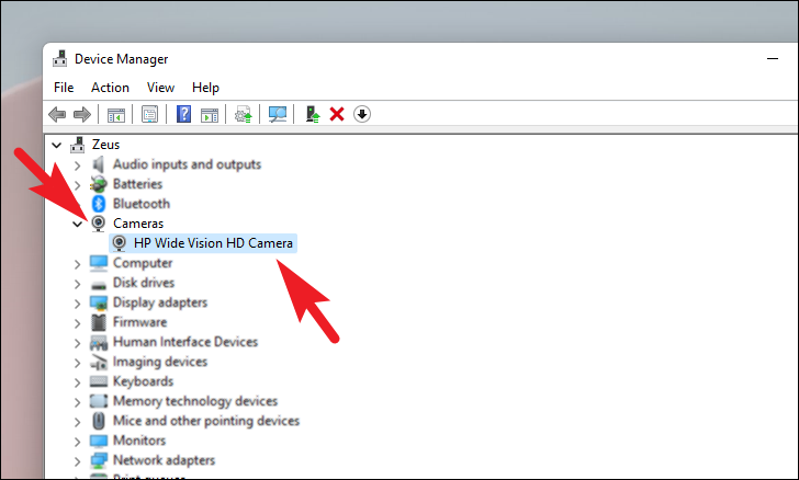 How to Update Camera Driver on Windows 11