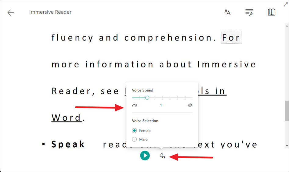 speech on word document