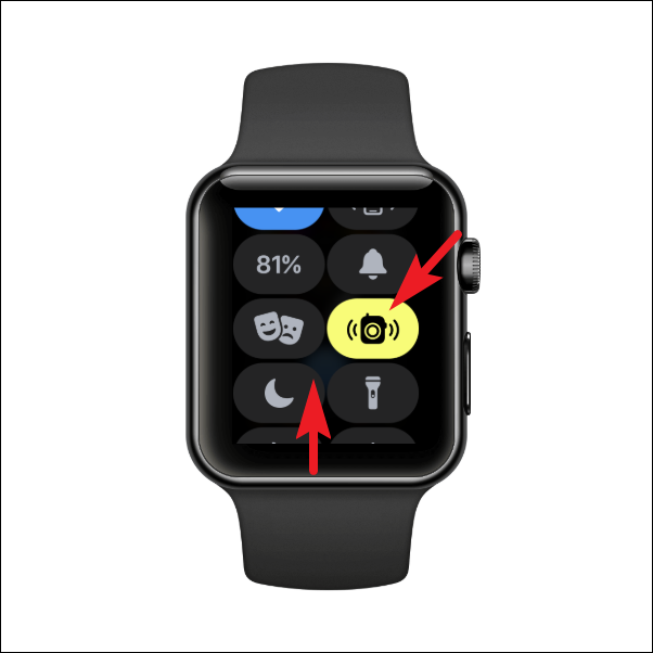 Apple watch best sale walkie talkie icon