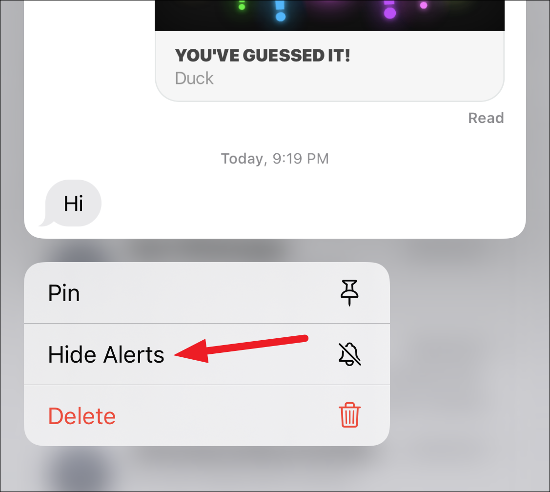 What Does Hide Alerts do in iMessage?