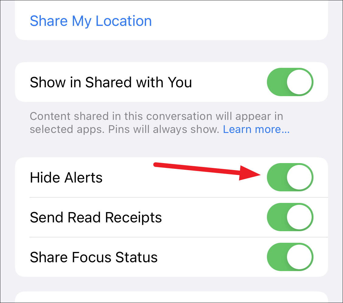 What Does Hide Alerts do in iMessage?