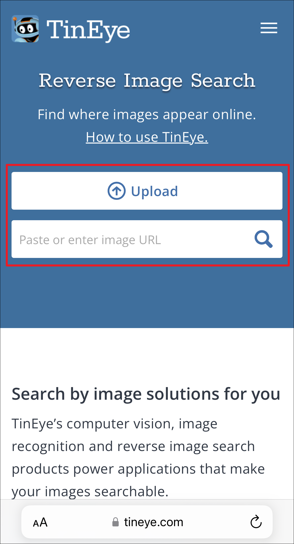 google reverse image search safari iphone