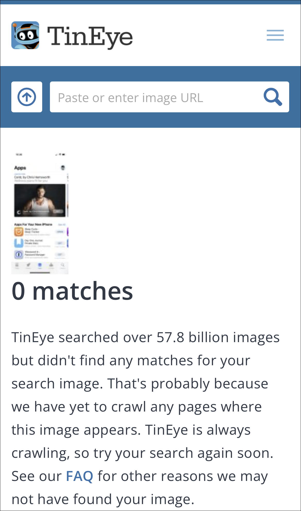 iphone safari reverse image search