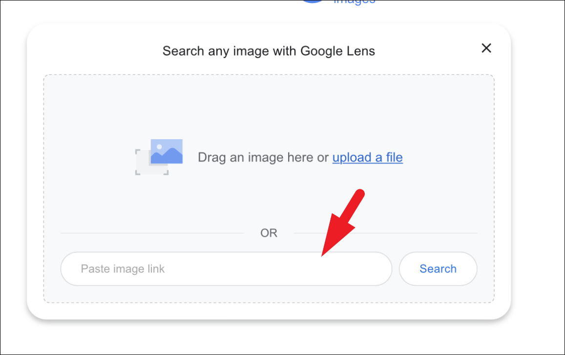 google reverse image search safari iphone