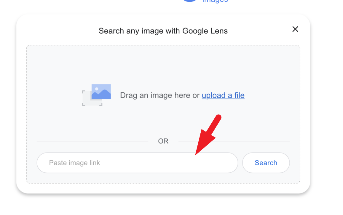 how to search safari using a photo