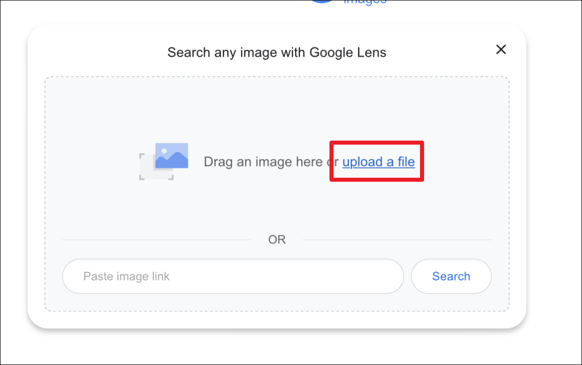 how to search safari using a photo