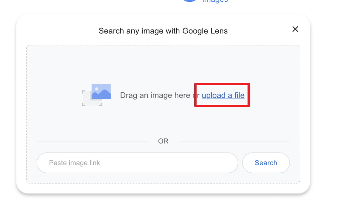 safari reverse image search