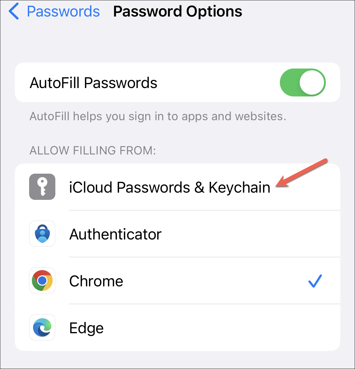 How to Enable Google Password Manager in Other Apps on iPhone